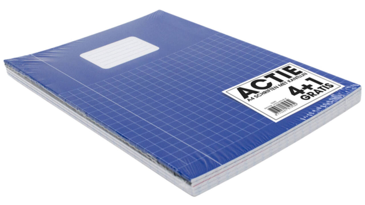 Schrift Verhaak Basic A4 ruit 10x10mm 80 pagina's 60gr pak à 5 stuks
