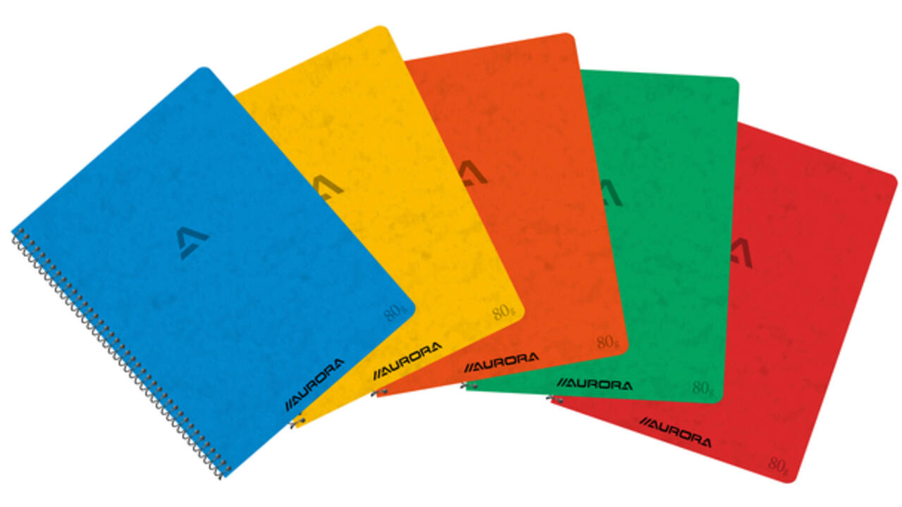 Schrift Aurora 210x165mm ruit 5x5mm 120 pagina's 80gr assorti