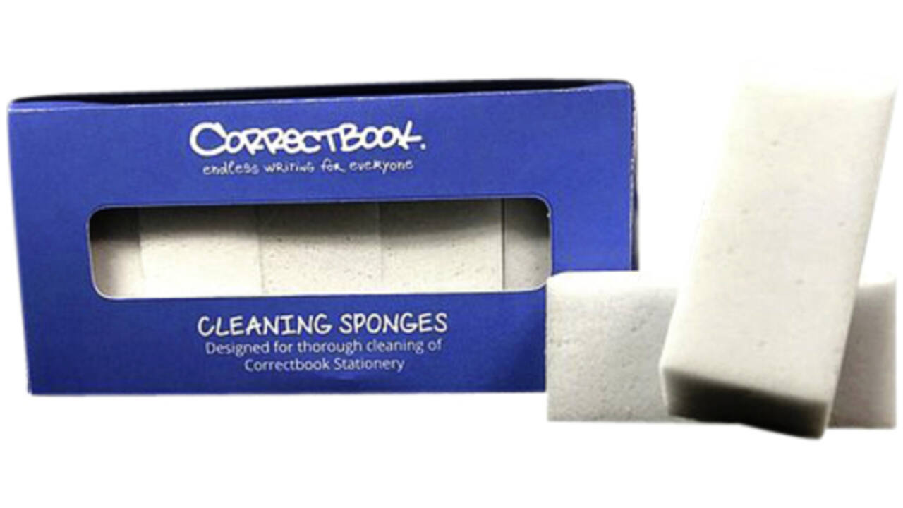 Schoonmaakspons Correctbook 5 stuks