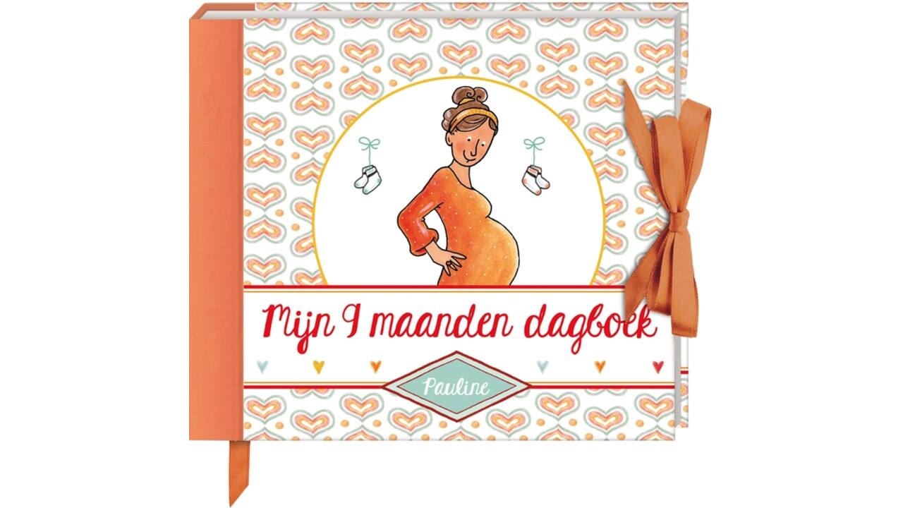 Invulboek Pauline Oud mijn 9 maanden dagboek