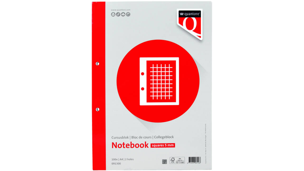 Cursusblok Quantore A4 ruit 5mm 100vel 80gram met kantlijn+