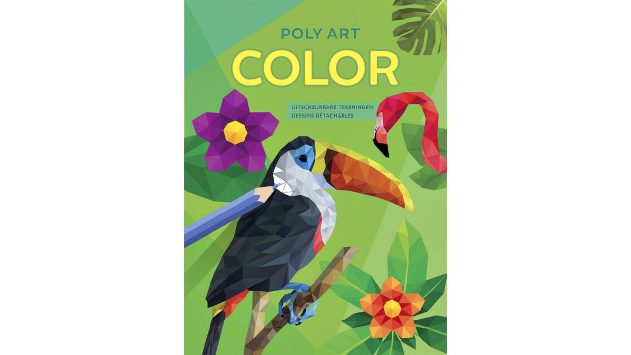 Kleurboek Deltas Poly Art Color