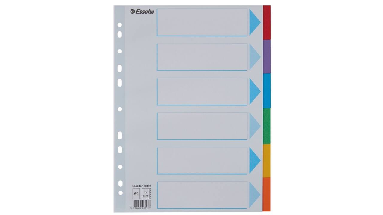 Tabbladen Esselte Standaard A4 6-delig karton 11-rings met voorblad assorti