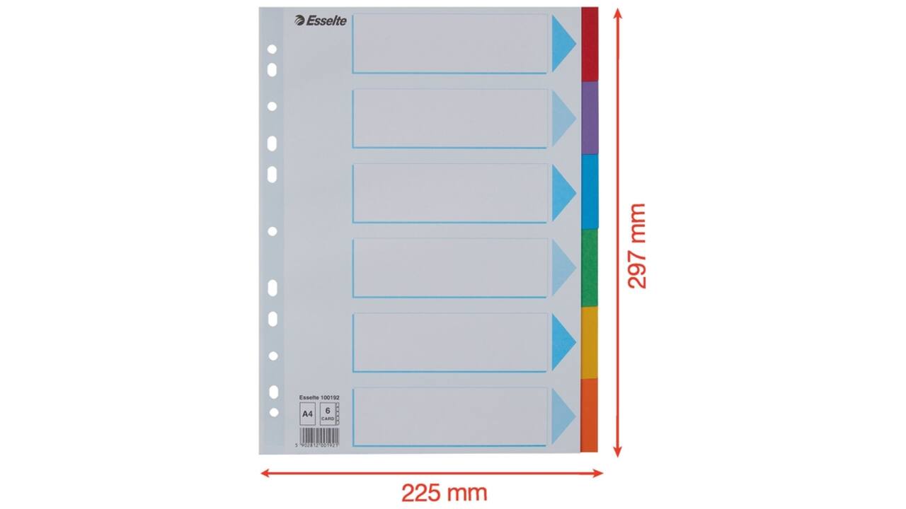 Tabbladen Esselte Standaard A4 6-delig karton 11-rings met voorblad assorti