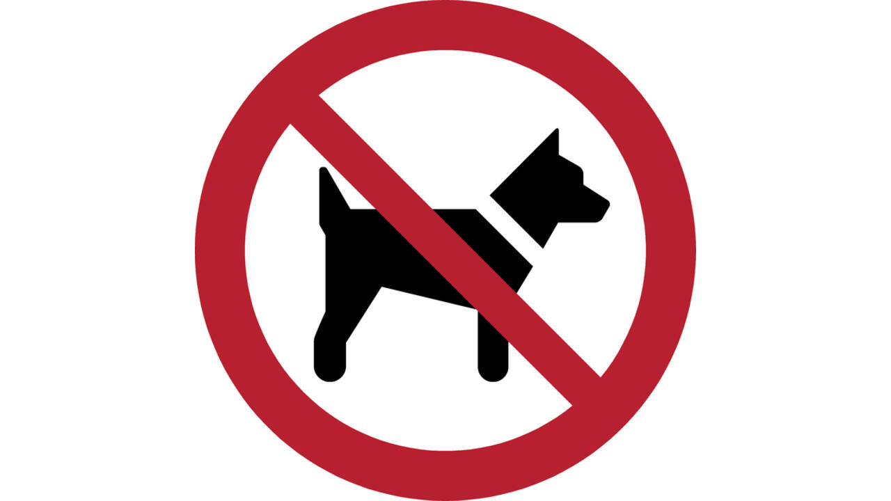 Pictogram bordje Djois Honden niet toegestaan Ø 200 mm Rood