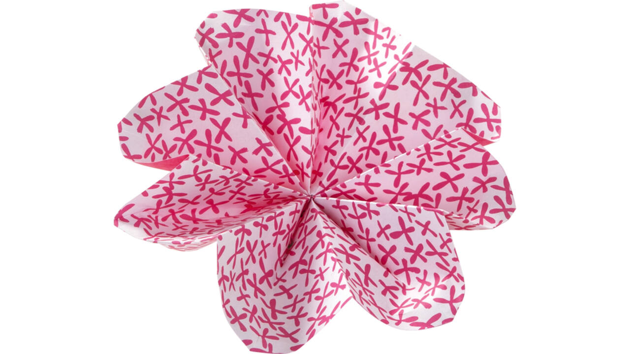 Vouwblaadjes Folia 80gr 15x15cm 50 vel 2-zijdig 10 tropical designs