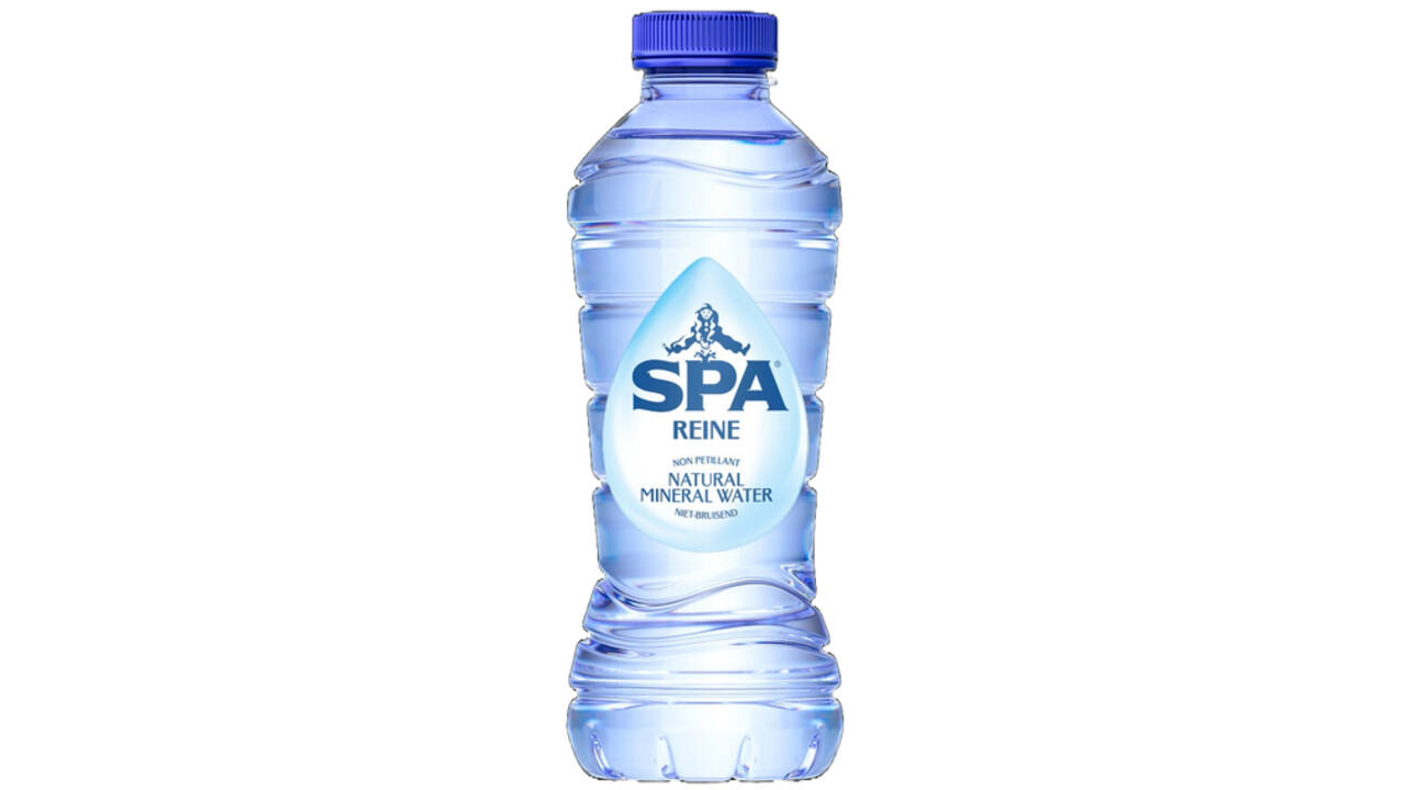 Water Spa Reine blauw petfles 330ml