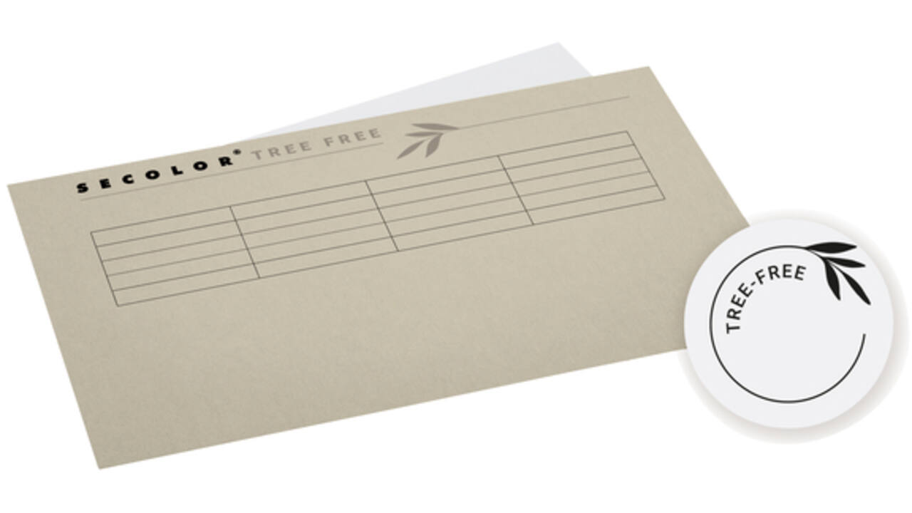 Vouwmap Djois Tree-Free folio gelijk 226gr grijs
