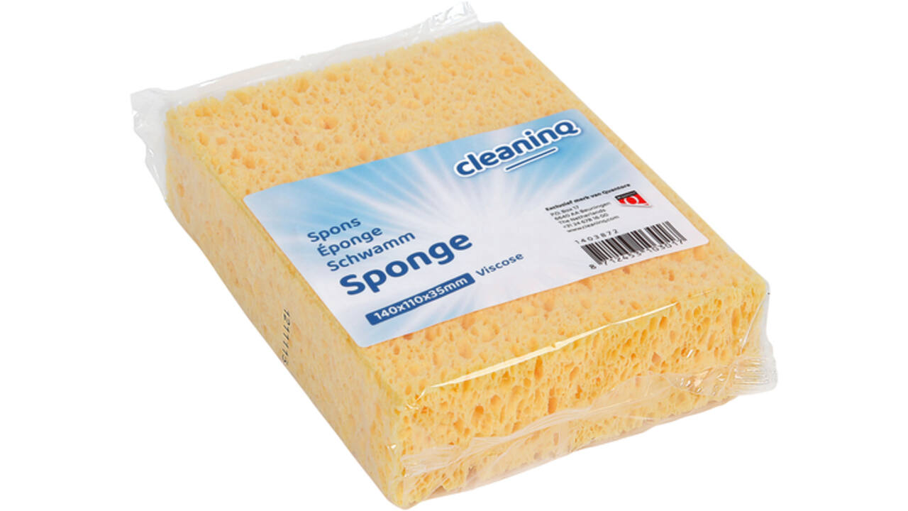 Spons Cleaninq viscose groot