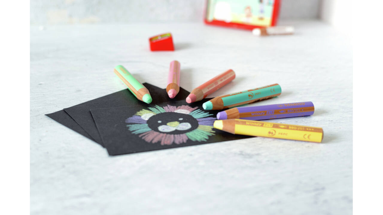 Kleurpotloden STABILO 880 woody inclusief puntenslijper pastel assorti etui à 6 stuks