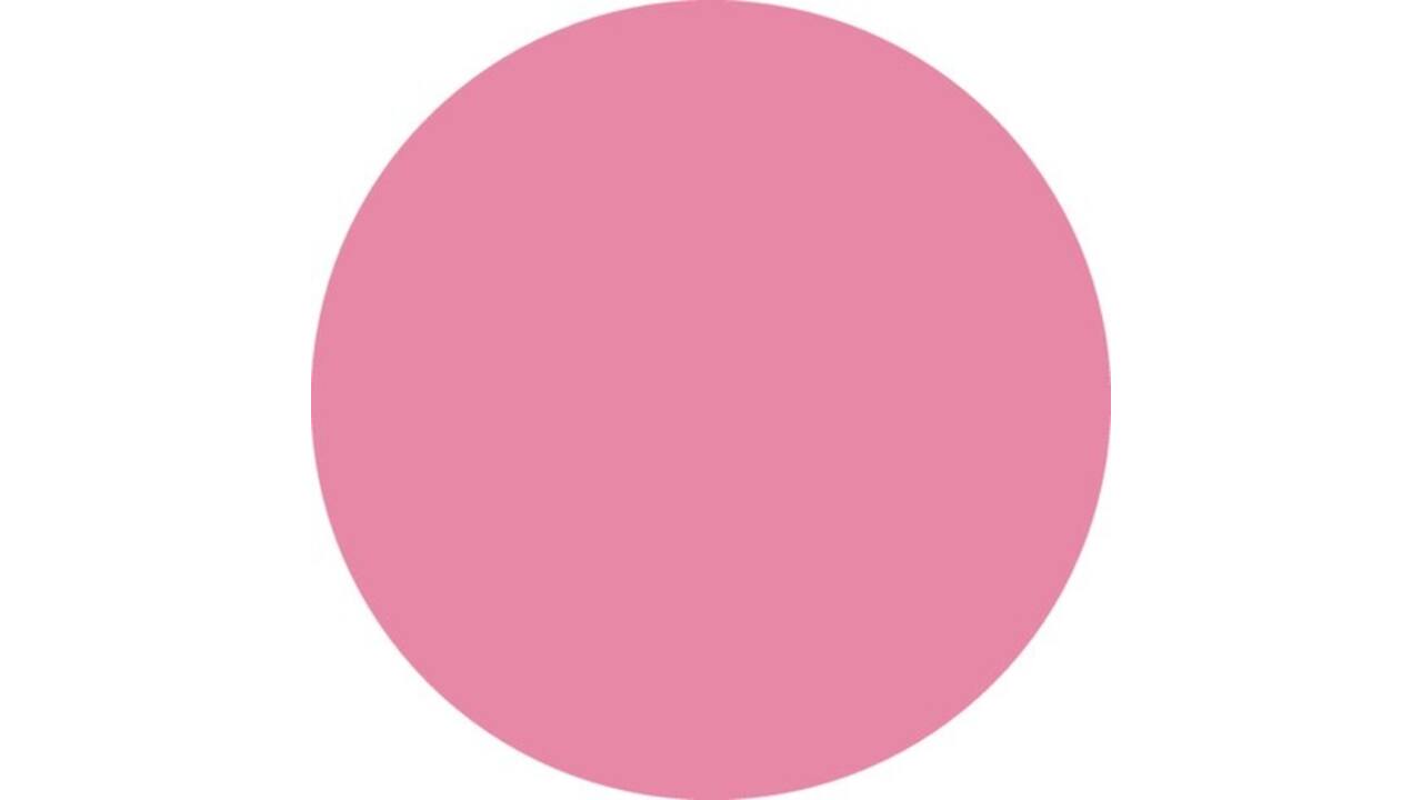 Brushstift STABILO Pen 568/29 roze