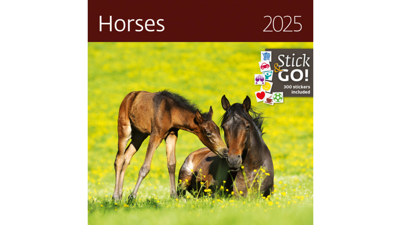 Kalender 2027 Helma 365 30x30cm paarden