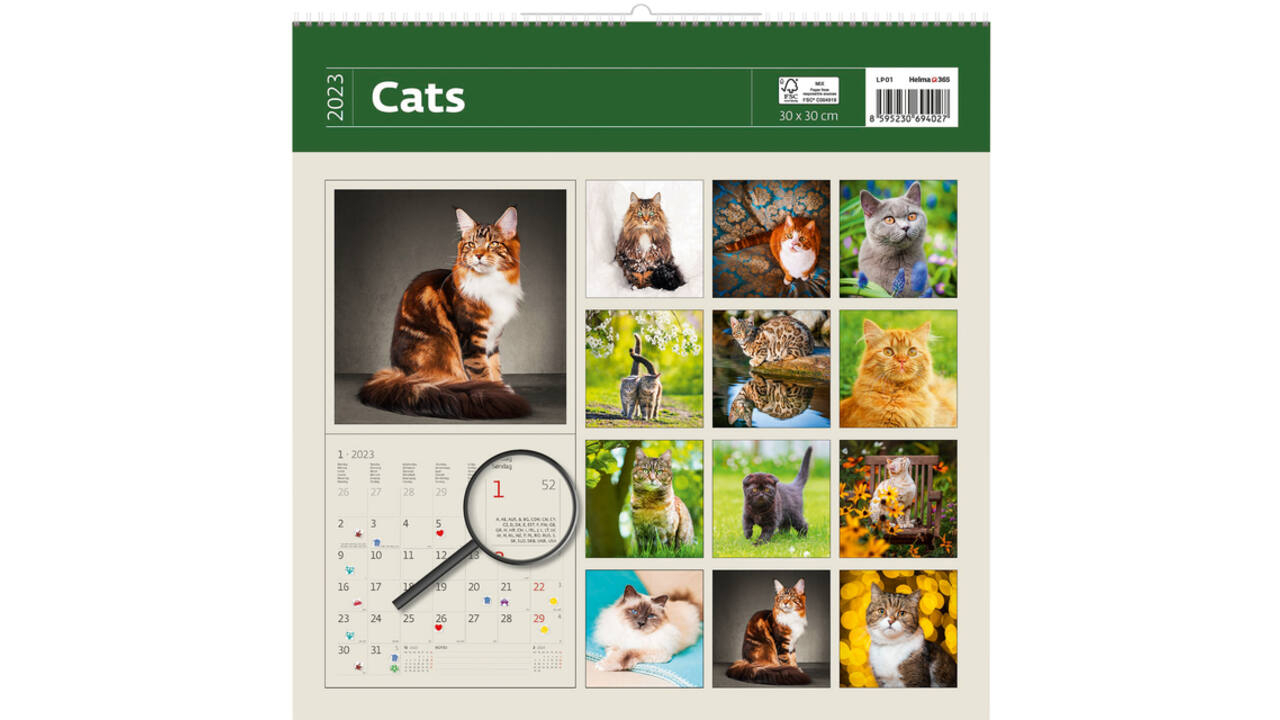 Kalender 2027 Helma 365 30x30cm katten