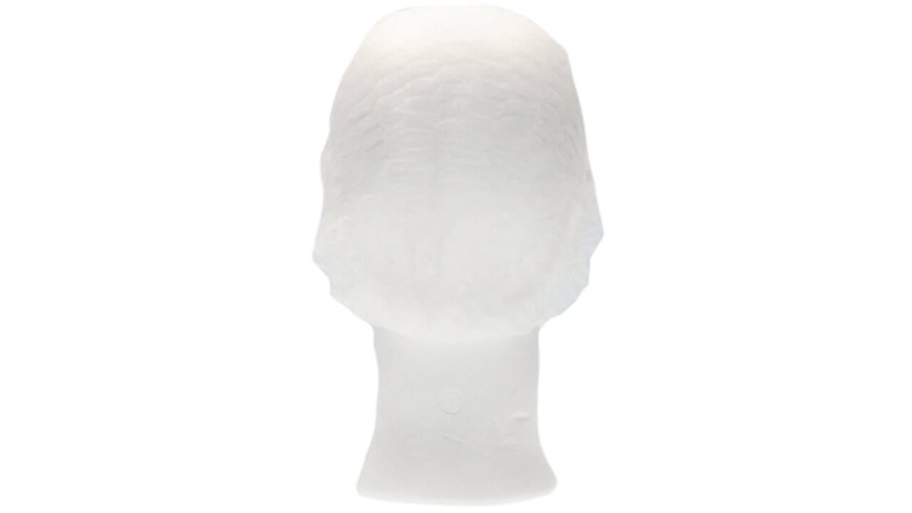 Haarnet CMT clip non-woven L 53cm PP wit