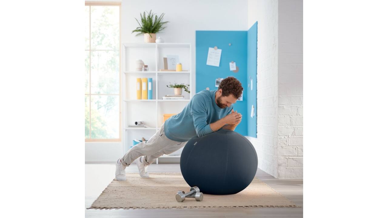 Actieve zitbal Leitz Ergo Cosy grijs