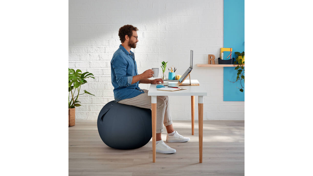 Actieve zitbal Leitz Ergo Cosy grijs