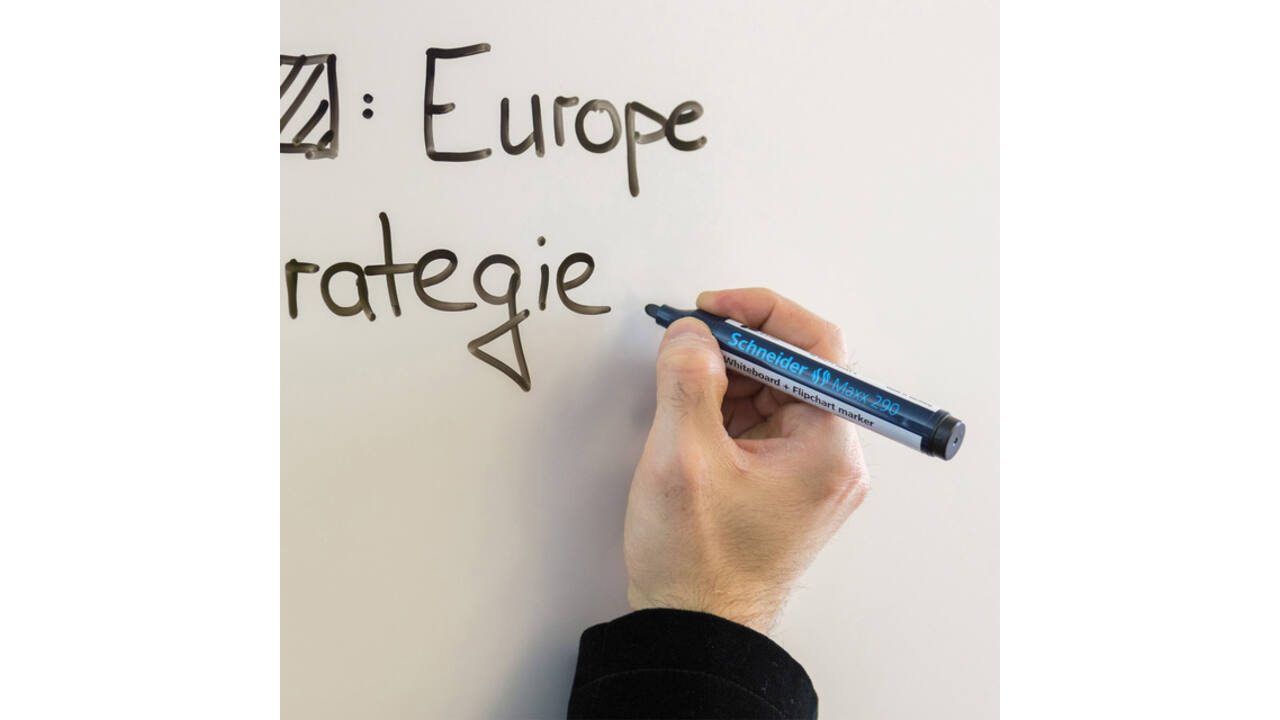 Viltstift Schneider Maxx 290 whiteboard rond 2-3mm assorti doos à 5+1 gratis
