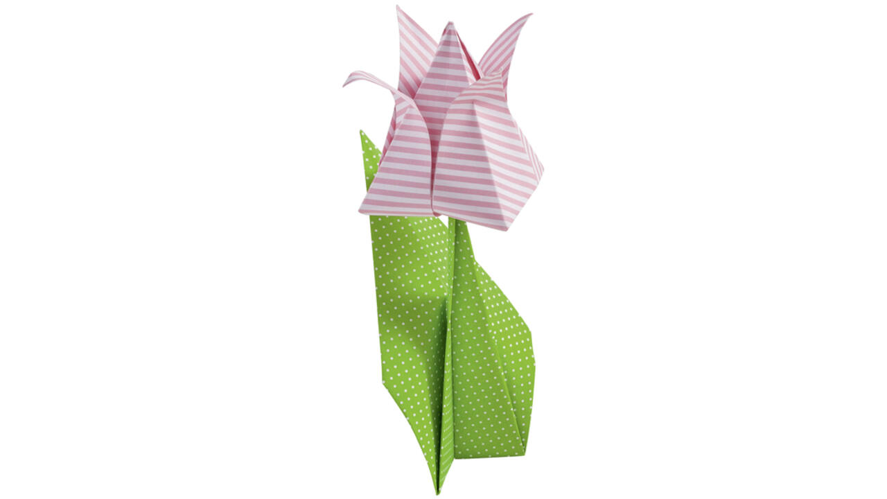 Vouwblaadjes Folia 80gr 20x20cm 50 vel 2-zijdig 10 basics designs