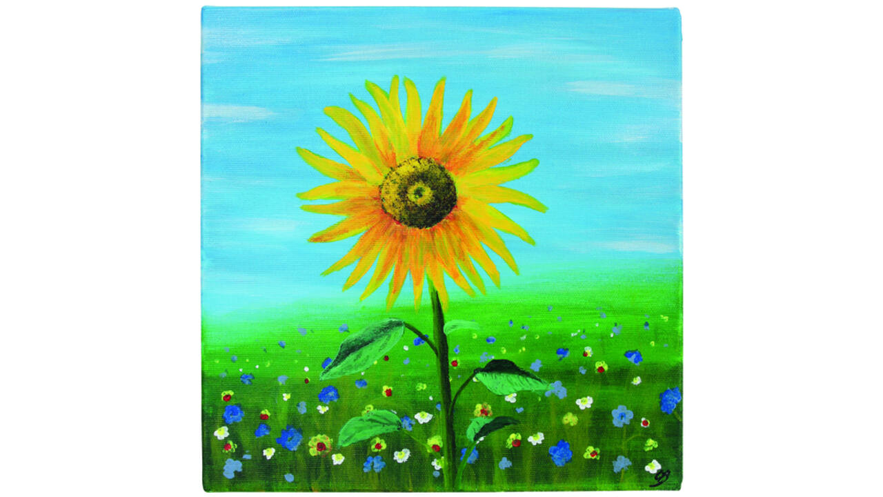 Schildersdoek Qrea Studio 60x80cm
