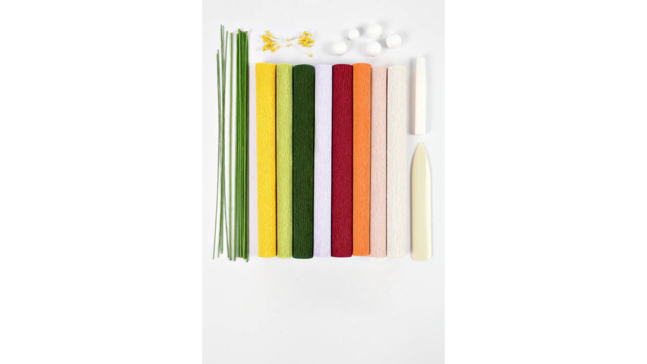 Crêpepapier Creativ Company DIY starterset bloemen