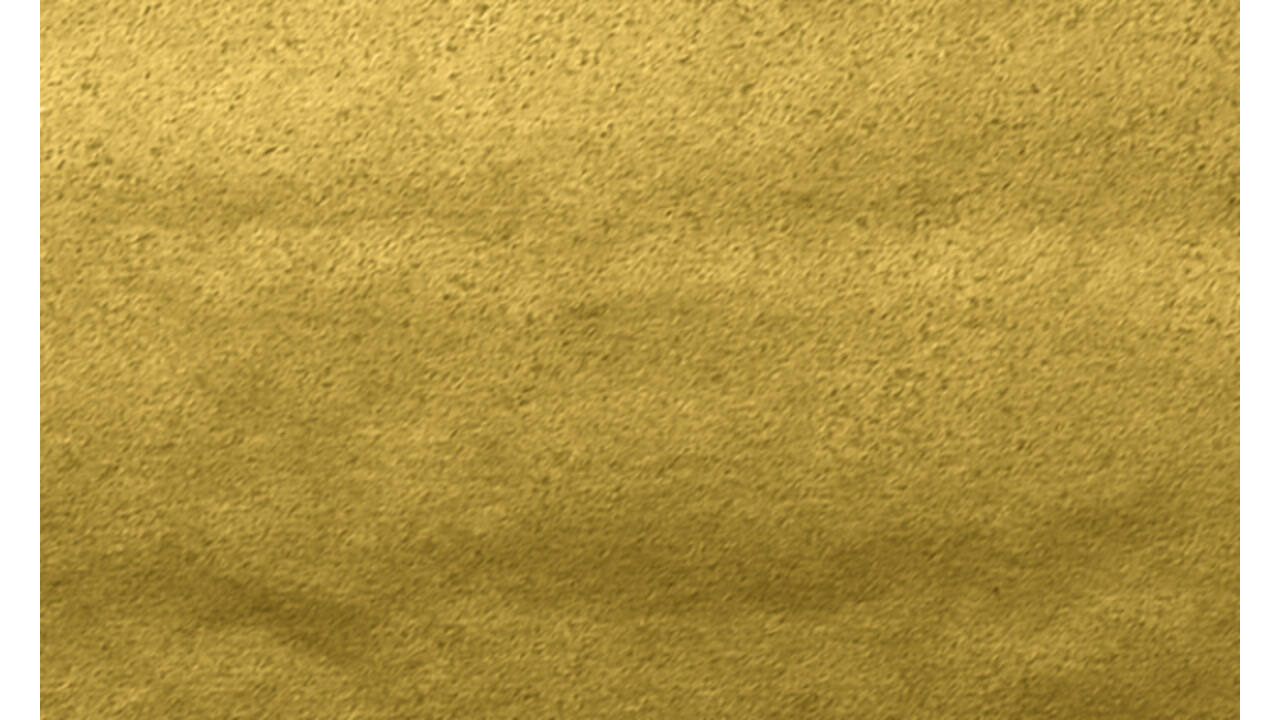 Zijdevloeipapier Folia 50x70cm 20gr nr65 goud 5 vel