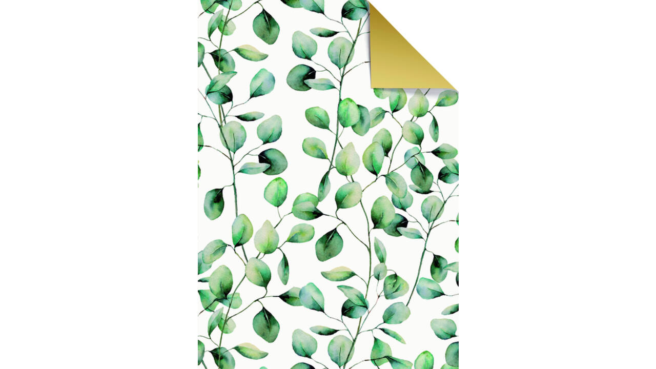 Apparaatrol Stewo Esta 150mx50cm