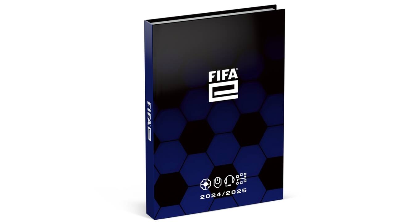 Schoolagenda 2024-2025 Lannoo Fifa E 1dag/1pagina