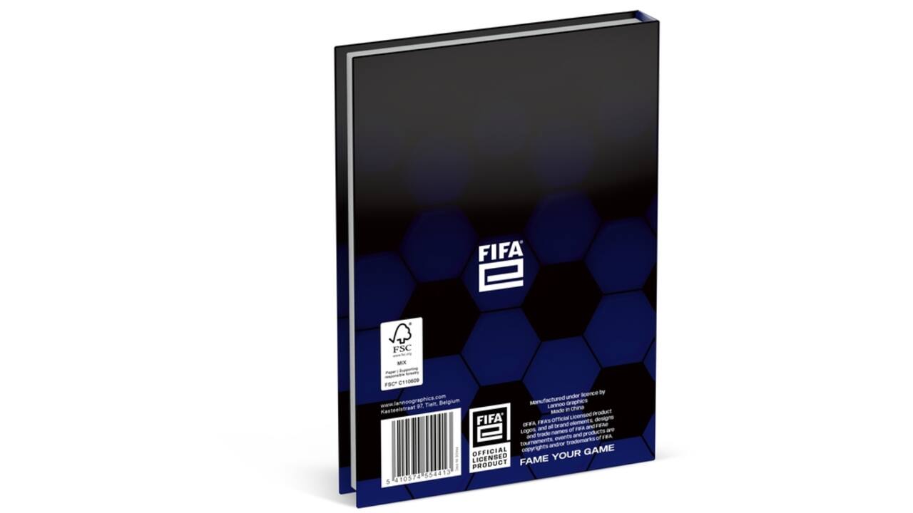 Schoolagenda 2024-2025 Lannoo Fifa E 1dag/1pagina