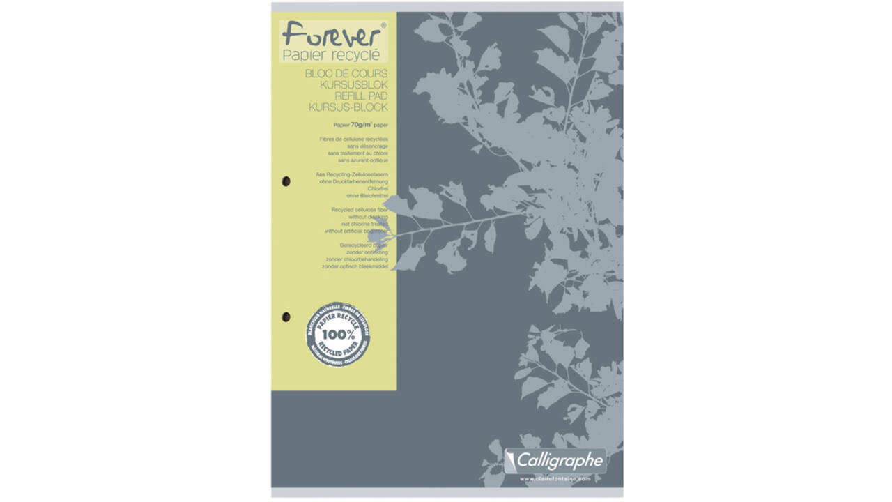 Cursusblok Clairfontaine Forever Calligraphe A4 ruit 5x5mm 2-gaats 200 pagina's 70gr grijs
