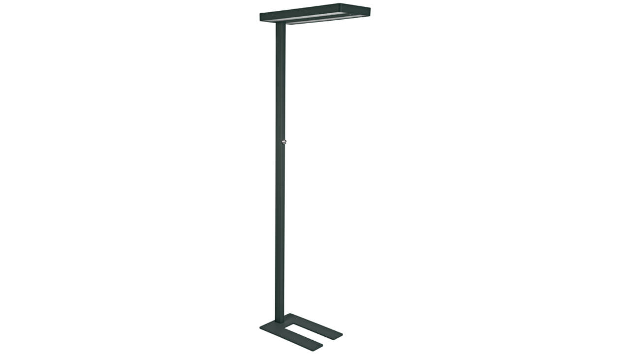 Vloerlamp MAUL Juvis LED beweging- daglichtsensor dimbaar hg 195cm zwart