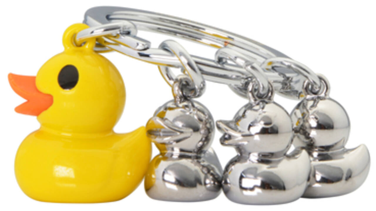 Sleutelhanger Metalmorphose eendenfamilie