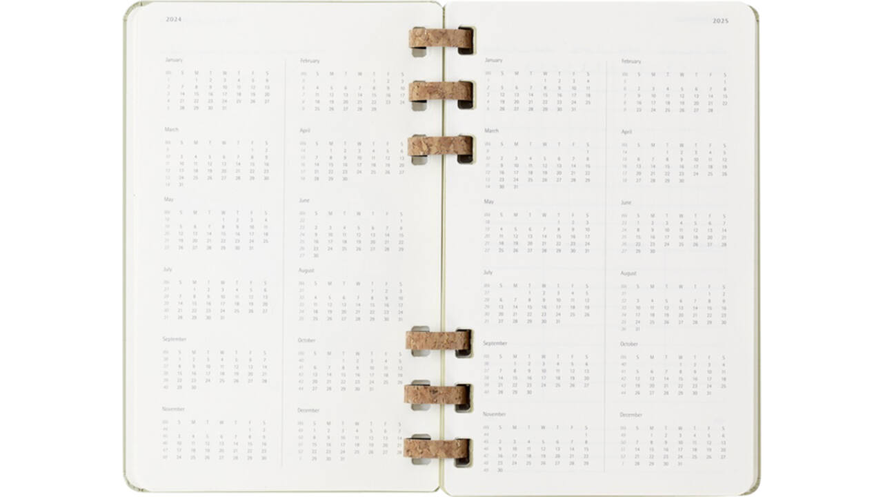 Agenda 2024/2025 Moleskine 12M Academic planner 7dagen/2pagina's large hc crush kiwi