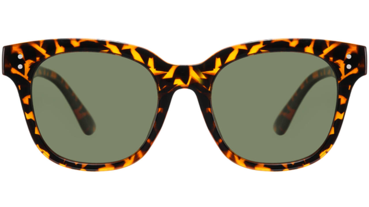 Zonnebril Montana met groen G15 gepolariseerd glas glans turtle