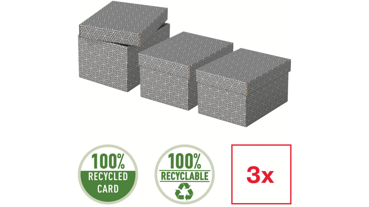Opberg- en geschenkdoos Esselte home klein 200x150x255mm gr 3 st