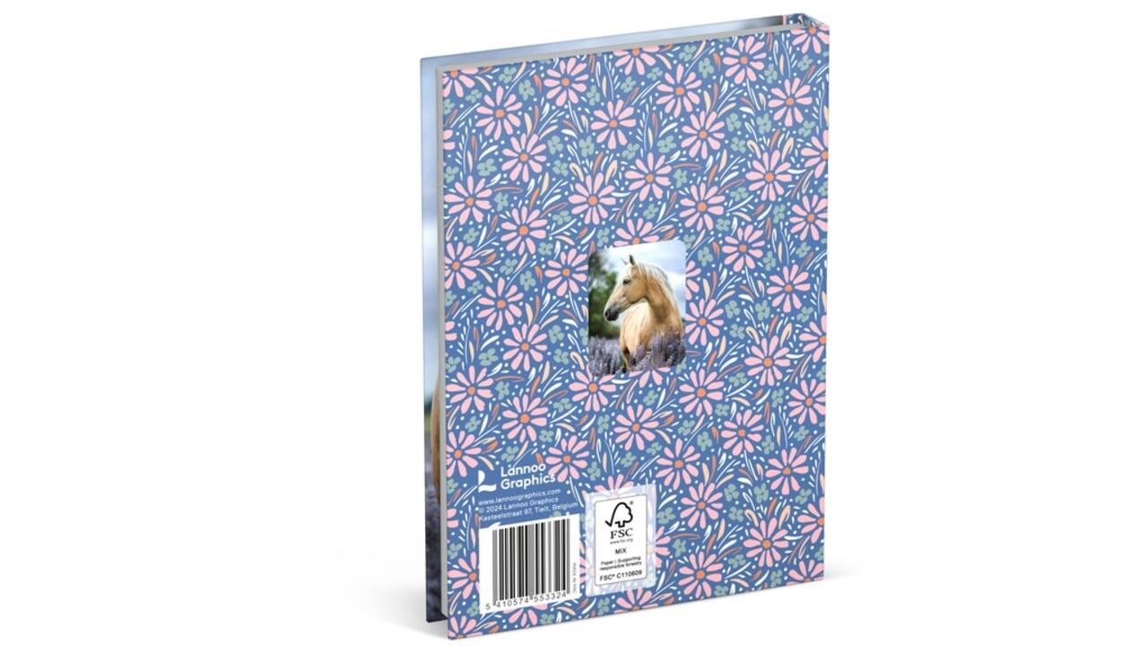 Schoolagenda 2024-2025 Lannoo Amazone 1dag/1pagina blauw