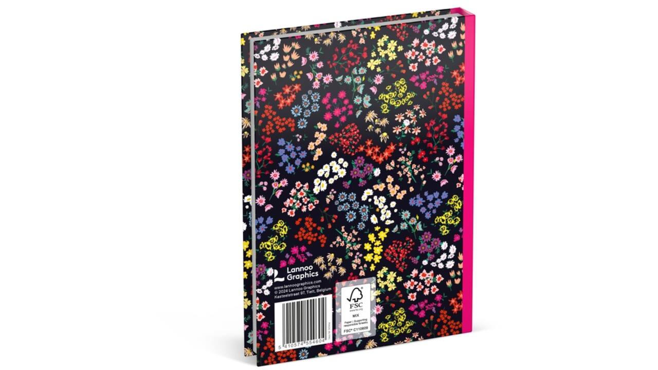 Schoolagenda 2024-2025 Lannoo 100% Love 1dag/1pagina