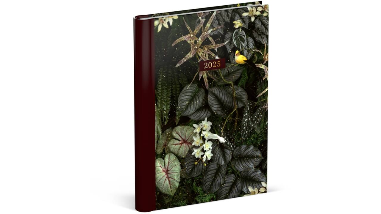 Agenda 2025 Lannoo Botanic 7dagen/2pagina's dark green