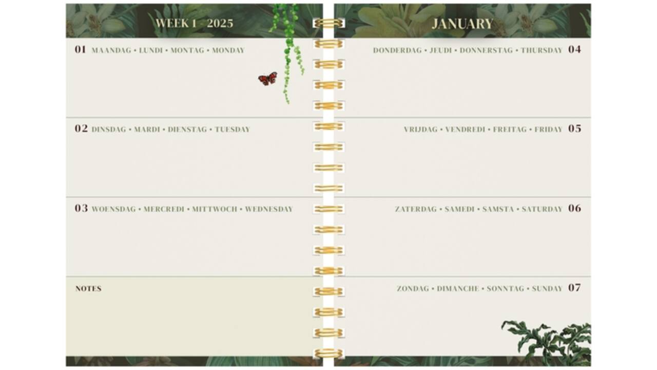 Agenda 2025 Lannoo Botanic 7dagen/2pagina's dark green