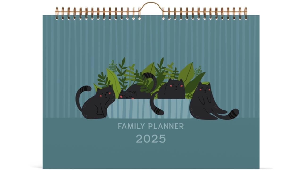 Familiekalender 2025 Lannoo 310x220 Cats 7dagen/1pagina