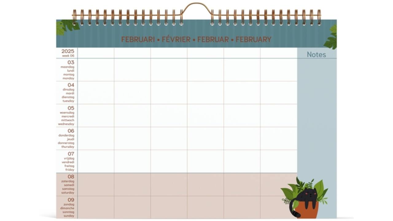 Familiekalender 2025 Lannoo 310x220 Cats 7dagen/1pagina