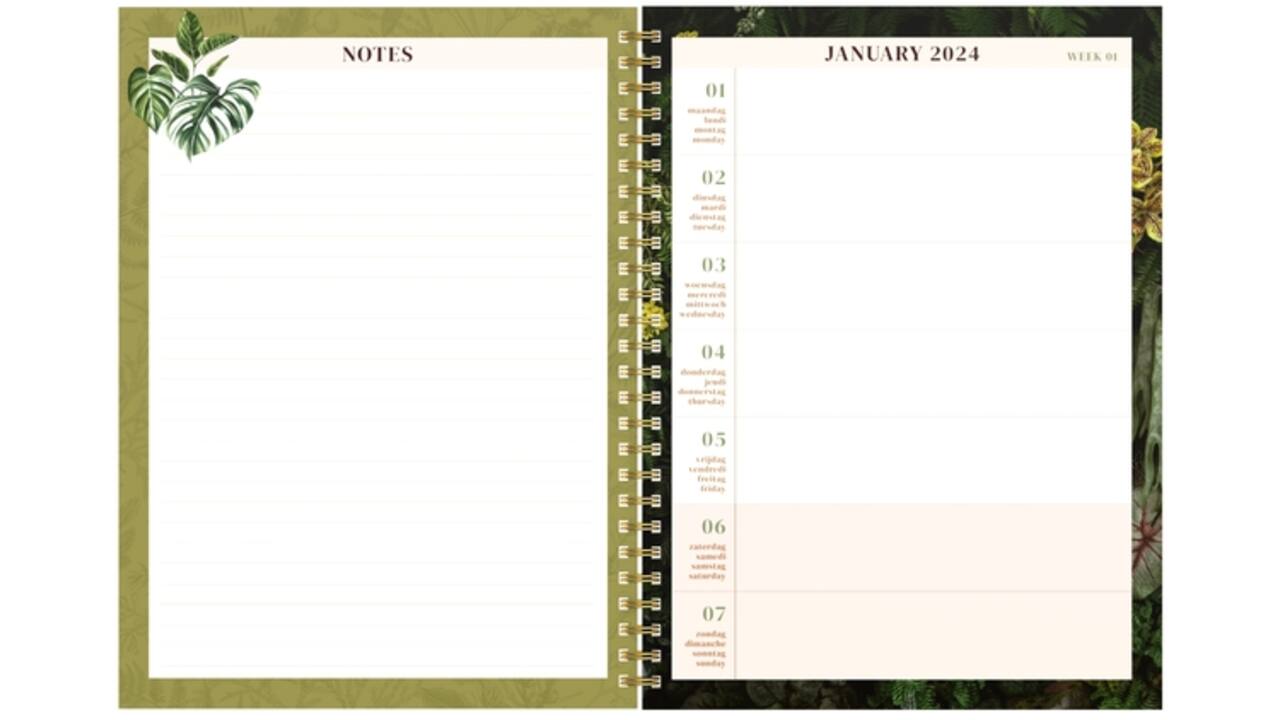 Agenda 2025 Lannoo bureau Botanic 7dagen/2pagina's