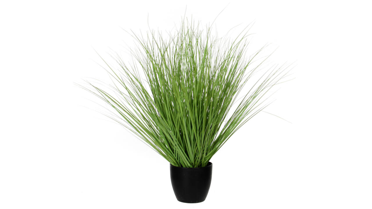 Kunstplant Mica Gras in plastic pot Ø14,5cm 68x50cm