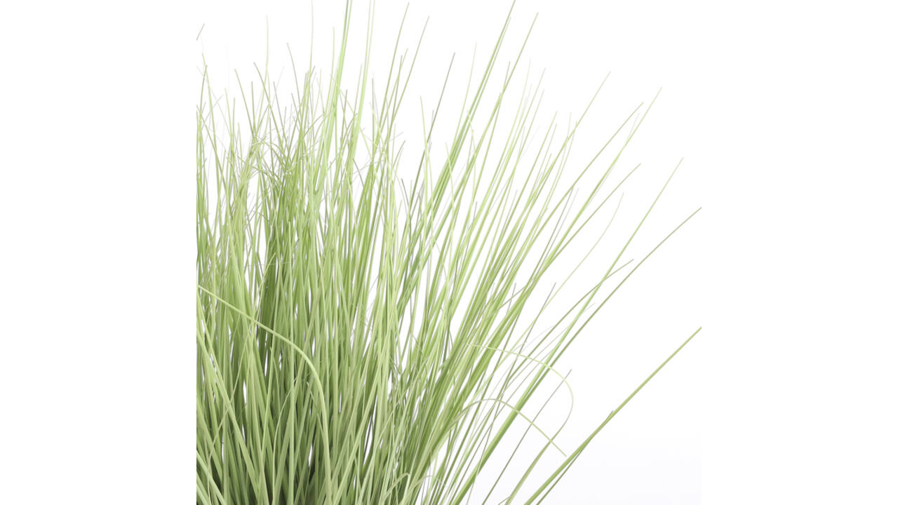 Kunstplant Mica Gras in plastic pot Ø14,5cm 68x50cm