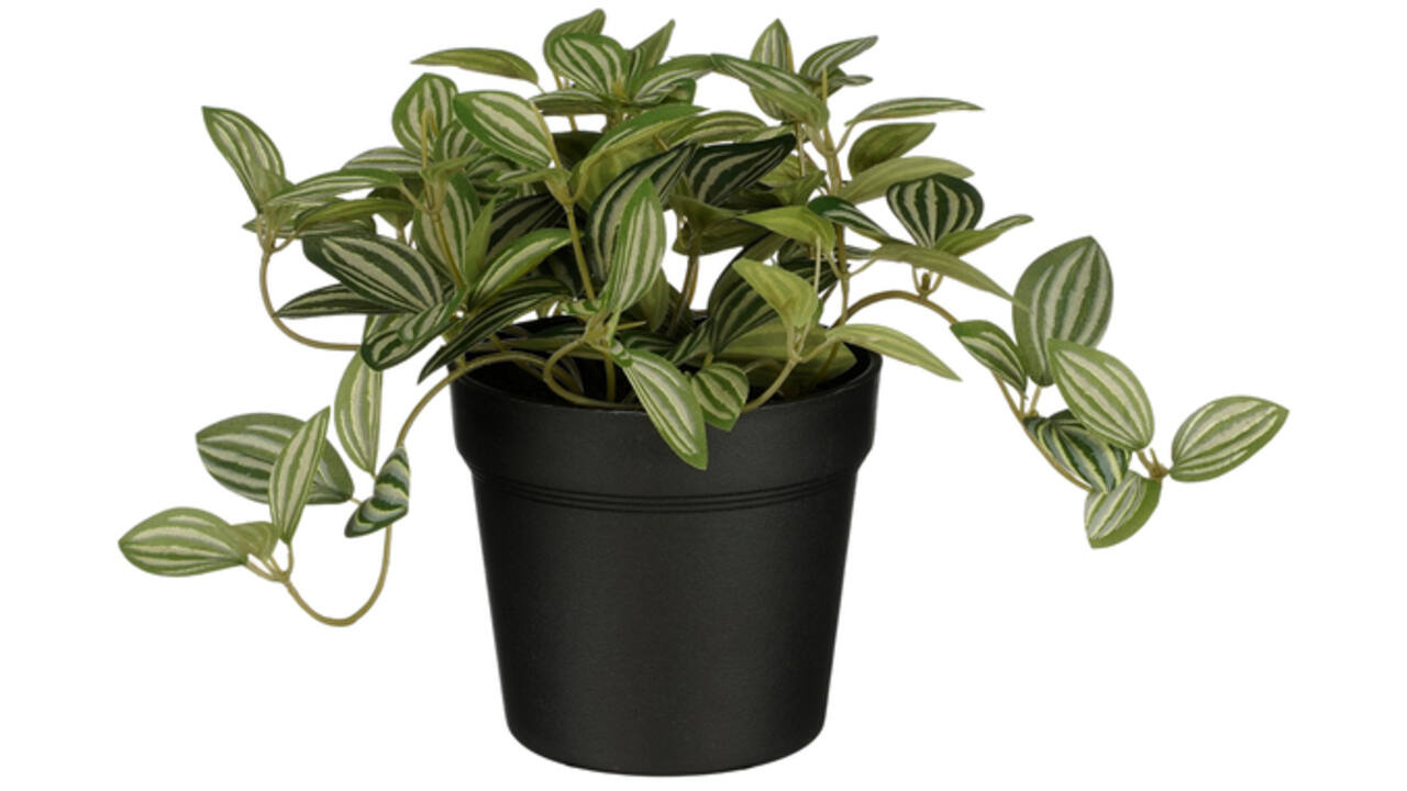 Kunstplant Mica Tradescantia in pot 16x16cm