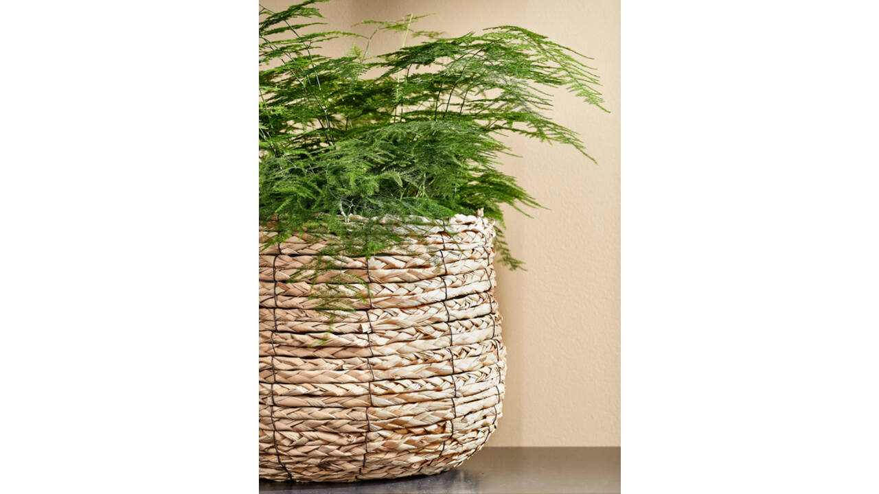 Plantenmand Mica Avalon zeegras rond lichbruin 31x30cm