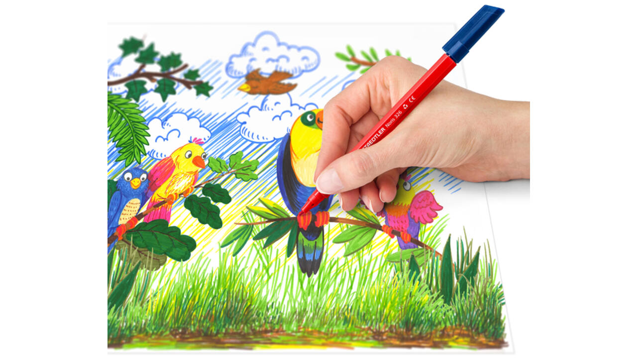 Kleurstift Staedtler Noris 326 kartonnen etui 10 kleuren