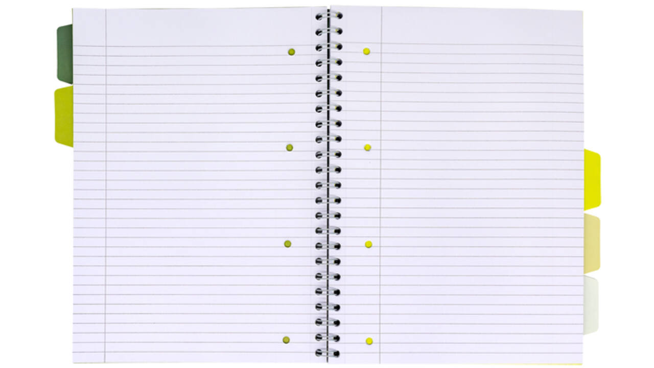 Projectboek Pukka Recycled A4 lijn 5-tabs 4-gaats 200 pagina's 80gr groen