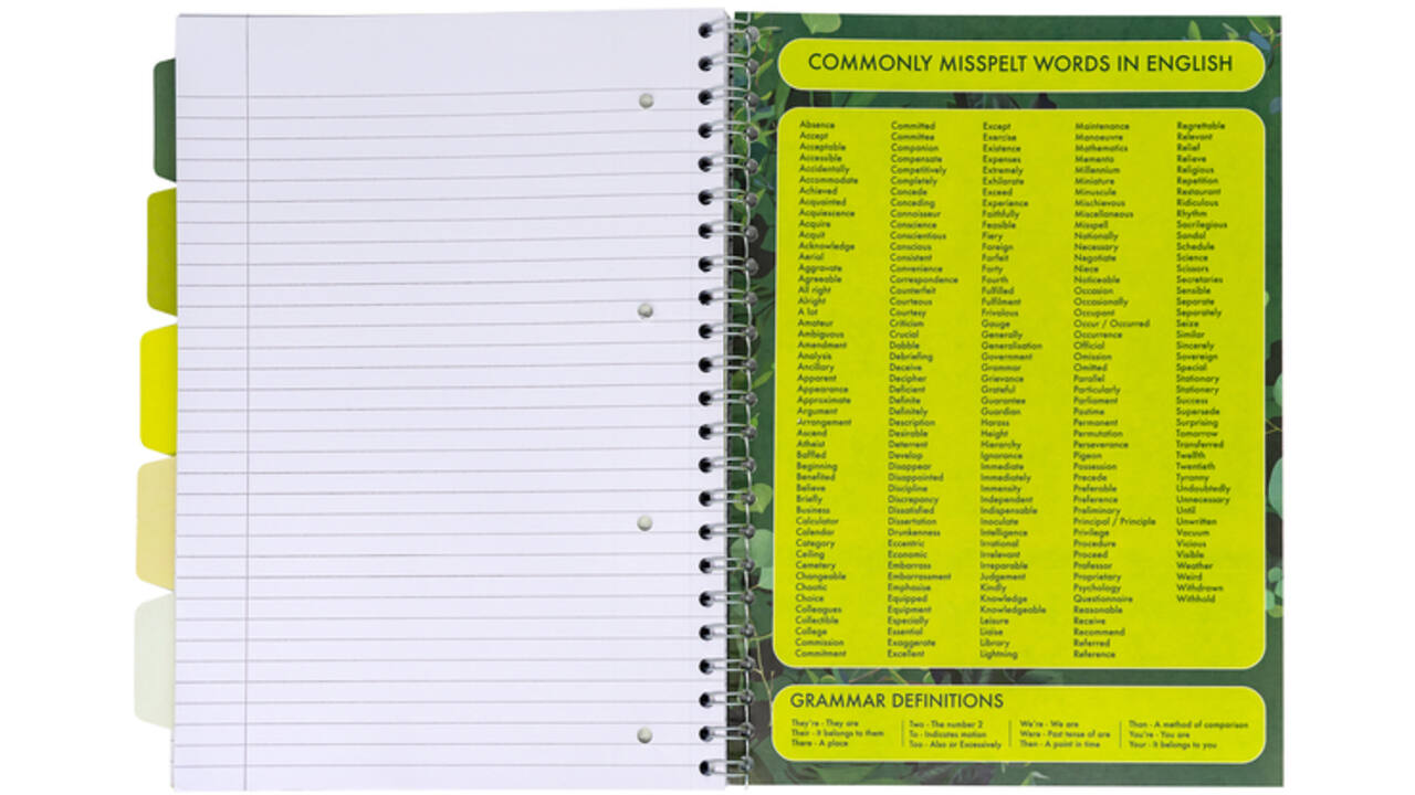 Projectboek Pukka Recycled A4 lijn 5-tabs 4-gaats 200 pagina's 80gr groen