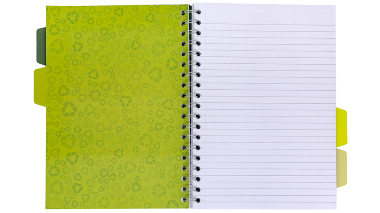 Projectboek Pukka Recycled B5 lijn 4-tabs 200 pagina's 80gr groen