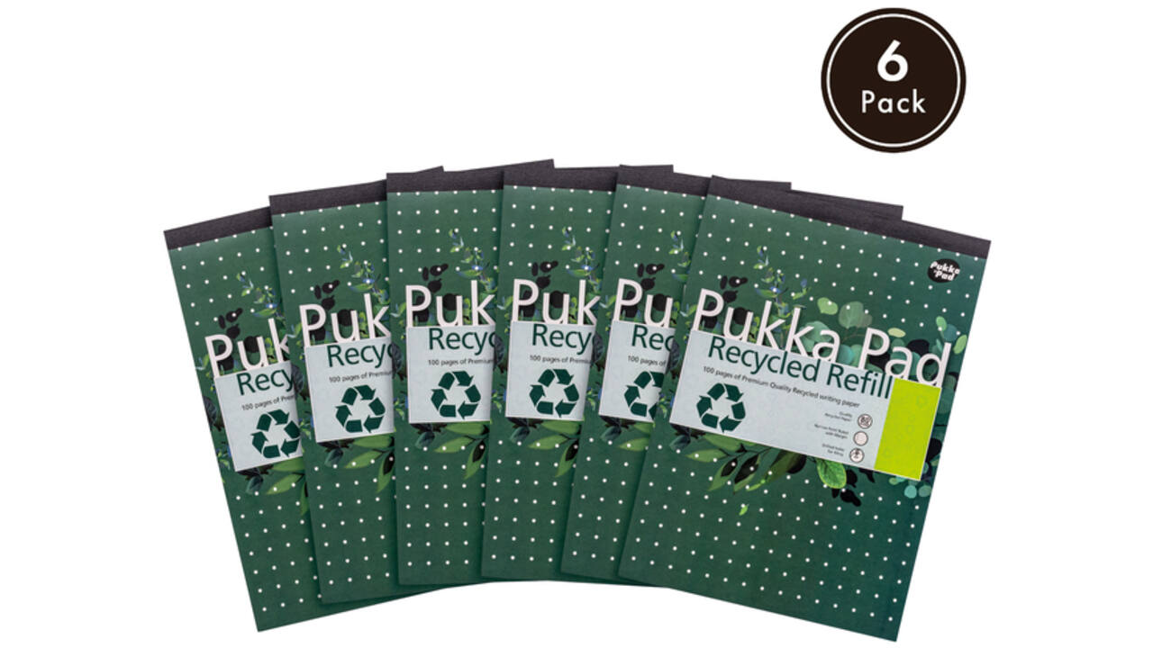 Schrijfblok Pukka Recycled A4 lijn 4-gaats 100 vel 80gr